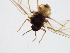 ( - MP240717GWA)  @11 [ ] CreativeCommons - Attribution Non-Commercial Share-Alike (2018) Matthew Peill Unspecified