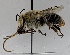  ( - CCDB-38308_H01)  @11 [ ] CreativeCommons - Attribution Share-Alike (2022) Cory Sheffield Royal Saskatchewan Museum