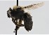  ( - CCDB-38765 E02)  @11 [ ] copyright (2021) Cory Sheffield Royal Saskatchewan Museum