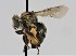  ( - CCDB-38765 F11)  @11 [ ] copyright (2021) Cory Sheffield Royal Saskatchewan Museum