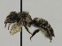  ( - CCDB-38766 B01)  @11 [ ] copyright (2021) Cory Sheffield Royal Saskatchewan Museum
