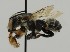  ( - CCDB-38766 B05)  @11 [ ] copyright (2021) Cory Sheffield Royal Saskatchewan Museum