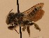  ( - CCDB-38773 B01)  @11 [ ] copyright (2021) Cory Sheffield Royal Saskatchewan Museum