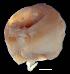  ( - WB-10-186-bc)  @14 [ ] Unspecified (default): All Rights Reserved  Unspecified Unspecified