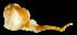  ( - WB-3-52-bc)  @14 [ ] Unspecified (default): All Rights Reserved  Unspecified Unspecified