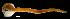  ( - WB-4-57-bc)  @14 [ ] Unspecified (default): All Rights Reserved  Unspecified Unspecified