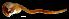  ( - WB-4-60-bc)  @14 [ ] Unspecified (default): All Rights Reserved  Unspecified Unspecified