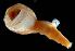  ( - WB-4-67-bc)  @14 [ ] Unspecified (default): All Rights Reserved  Unspecified Unspecified