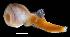  ( - WB-4-68-bc)  @14 [ ] Unspecified (default): All Rights Reserved  Unspecified Unspecified