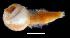  ( - WB-4-70-bc)  @14 [ ] Unspecified (default): All Rights Reserved  Unspecified Unspecified