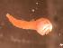  ( - WB-4-72-bc)  @14 [ ] Unspecified (default): All Rights Reserved  Unspecified Unspecified