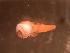  ( - WB-4-73-bc)  @14 [ ] Unspecified (default): All Rights Reserved  Unspecified Unspecified