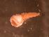  ( - WB-4-74-bc)  @14 [ ] Unspecified (default): All Rights Reserved  Unspecified Unspecified