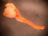  ( - WB-5-103-bc)  @14 [ ] Unspecified (default): All Rights Reserved  Unspecified Unspecified