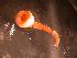  ( - WB-5-106-bc)  @14 [ ] Unspecified (default): All Rights Reserved  Unspecified Unspecified