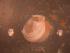  (Xylophagainae - WB-9-170-bc)  @14 [ ] Unspecified (default): All Rights Reserved  Unspecified Unspecified