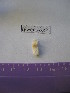  ( - WBET001)  @13 [ ] Unspecified (default): All Rights Reserved  Unspecified Unspecified