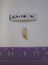  ( - WBET030)  @11 [ ] Unspecified (default): All Rights Reserved  Unspecified Unspecified