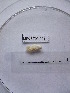  ( - WBET001)  @13 [ ] Unspecified (default): All Rights Reserved  Unspecified Unspecified