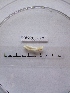  ( - WBET003)  @12 [ ] Unspecified (default): All Rights Reserved  Unspecified Unspecified
