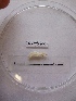 ( - WBET006)  @13 [ ] Unspecified (default): All Rights Reserved  Unspecified Unspecified