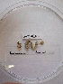  ( - WBET007)  @11 [ ] Unspecified (default): All Rights Reserved  Unspecified Unspecified