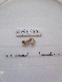  ( - WBET019)  @11 [ ] Unspecified (default): All Rights Reserved  Unspecified Unspecified