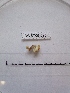  ( - WBET020)  @11 [ ] Unspecified (default): All Rights Reserved  Unspecified Unspecified