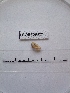  ( - WBET021)  @11 [ ] Unspecified (default): All Rights Reserved  Unspecified Unspecified