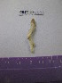  ( - WBET129)  @12 [ ] Unspecified (default): All Rights Reserved  Unspecified Unspecified