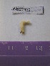  ( - WBET132)  @11 [ ] Unspecified (default): All Rights Reserved  Unspecified Unspecified