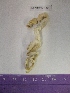  ( - WBET150)  @11 [ ] Unspecified (default): All Rights Reserved  Unspecified Unspecified