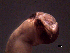  ( - WBET177)  @11 [ ] CreativeCommons - Attribution Non-Commercial Share-Alike (2011) Luisa Borges Universidade do Minho