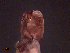  ( - WBET177)  @11 [ ] CreativeCommons - Attribution Non-Commercial Share-Alike (2011) Luisa Borges Universidade do Minho