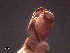  ( - WBET177)  @12 [ ] CreativeCommons - Attribution Non-Commercial Share-Alike (2011) Luisa Borges Universidade do Minho