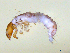  ( - BIOUG03313-E06)  @13 [ ] CreativeCommons - Attribution (2013) S. Adamowicz Centre for Biodiversity Genomics