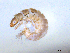  ( - BIOUG03313-F10)  @13 [ ] CreativeCommons - Attribution (2013) S. Adamowicz Centre for Biodiversity Genomics
