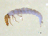  ( - BIOUG03315-A02)  @13 [ ] CreativeCommons - Attribution (2013) S. Adamowicz Centre for Biodiversity Genomics