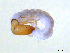  ( - BIOUG03315-A05)  @13 [ ] CreativeCommons - Attribution (2013) S. Adamowicz Centre for Biodiversity Genomics