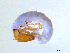  ( - BIOUG03315-A07)  @13 [ ] CreativeCommons - Attribution (2013) S. Adamowicz Centre for Biodiversity Genomics