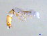  ( - BIOUG03315-A11)  @13 [ ] CreativeCommons - Attribution (2013) S. Adamowicz Centre for Biodiversity Genomics