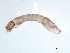  ( - BIOUG03317-D02)  @12 [ ] CreativeCommons - Attribution (2013) Trevor Bringloe Centre for Biodiversity Genomics