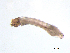  ( - BIOUG03317-E11)  @12 [ ] CreativeCommons - Attribution (2013) Trevor Bringloe Centre for Biodiversity Genomics