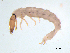  ( - BIOUG03321-E10)  @13 [ ] CreativeCommons - Attribution (2013) Trevor Bringloe Centre for Biodiversity Genomics