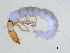  ( - BIOUG03322-A10)  @13 [ ] CreativeCommons - Attribution (2013) S. Adamowicz Centre for Biodiversity Genomics