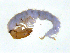  ( - BIOUG03322-C03)  @13 [ ] CreativeCommons - Attribution (2013) S. Adamowicz Centre for Biodiversity Genomics