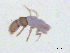  ( - BIOUG03322-C10)  @13 [ ] CreativeCommons - Attribution (2013) S. Adamowicz Centre for Biodiversity Genomics