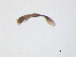  ( - BIOUG06975-B10)  @12 [ ] CreativeCommons - Attribution (2013) Trevor Bringloe Centre for Biodiversity Genomics