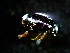  ( - WC158)  @11 [ ] Copyright (2020) University of Waikato University of Waikato