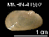  (Idas sp. O - JL-001)  @14 [ ] Unspecified (default): All Rights Reserved  Unspecified Unspecified